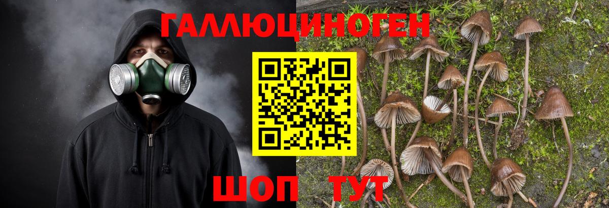 Галлюциногенные грибы MAGIC MUSHROOMS Октябрьский